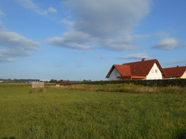 Objektbild: Fürstenfeld - ebenes Baugrundstück in ruhiger Siedlungslage