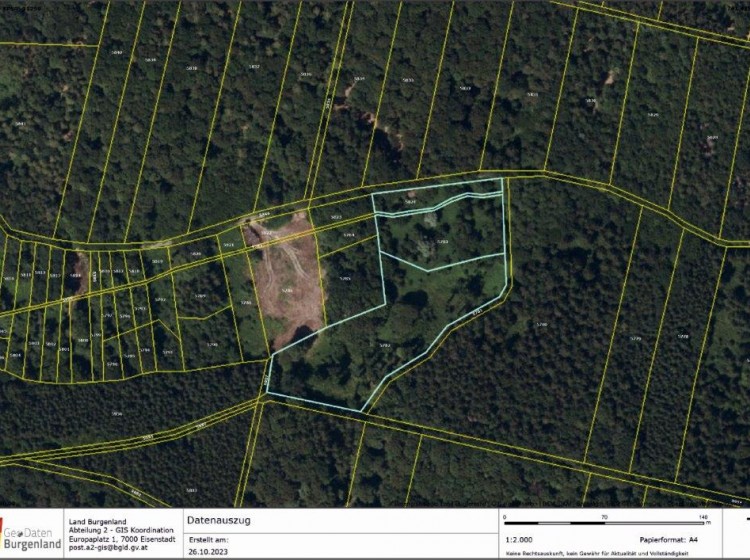 Objektbild: WERTANLAGE - ca. 1,3 ha Mischwald in schöner Lage und guter Erreichbarkeit