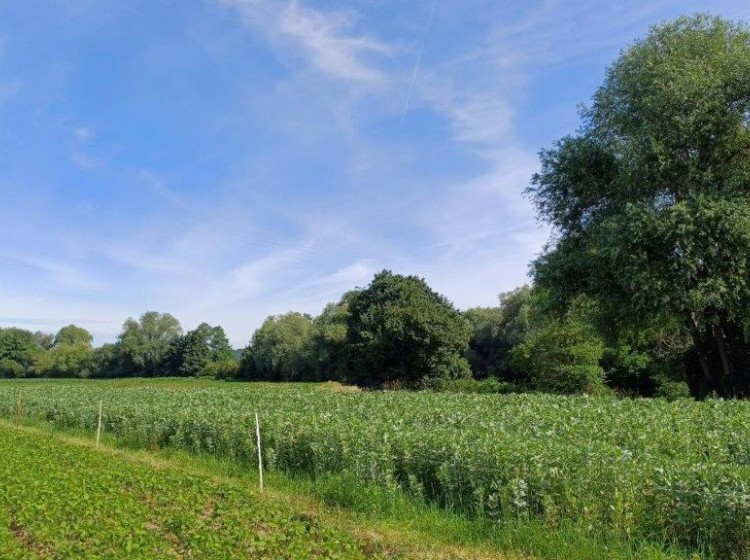 Objektbild: Investieren Sie in Grund und Boden - ca. 13.542 m² ebene Ackerflächen direkt an der Raab gelegen!