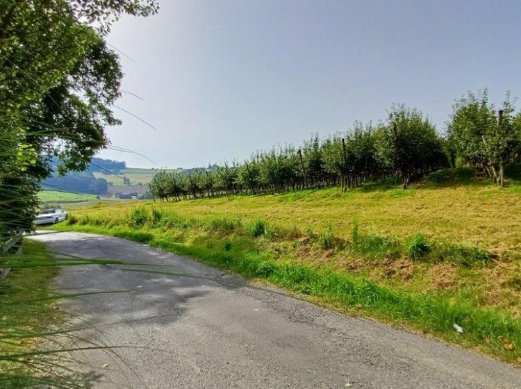 Objektbild: Eins sein mit der Natur - ca. 14.438 m² schönste Aussichts- und Ruhelage mit großem Baulandanteil!