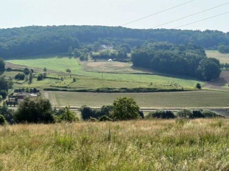 Objektbild: Eins sein mit der Natur - ca. 14.438 m² schönste Aussichts- und Ruhelage mit großem Baulandanteil!