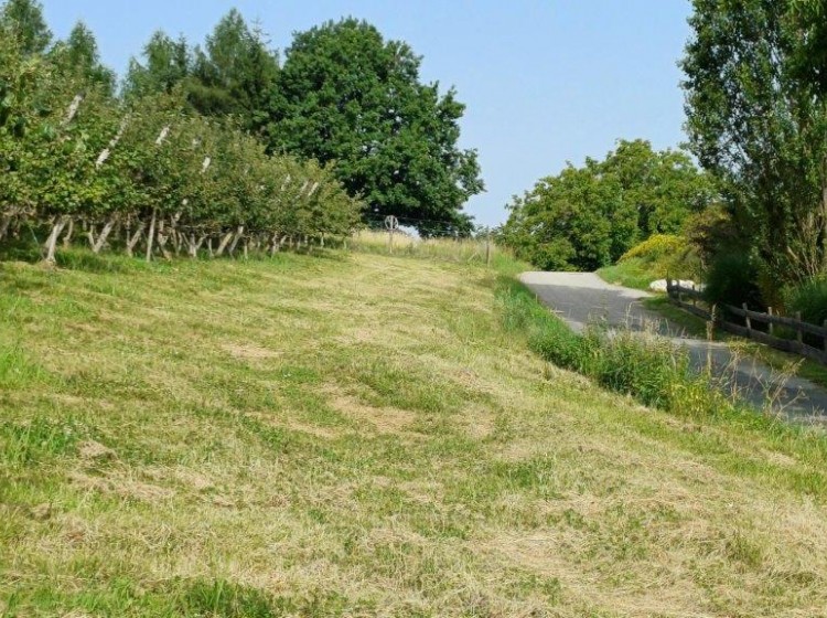 Objektbild: Eins sein mit der Natur - ca. 14.438 m² schönste Aussichts- und Ruhelage mit großem Baulandanteil!