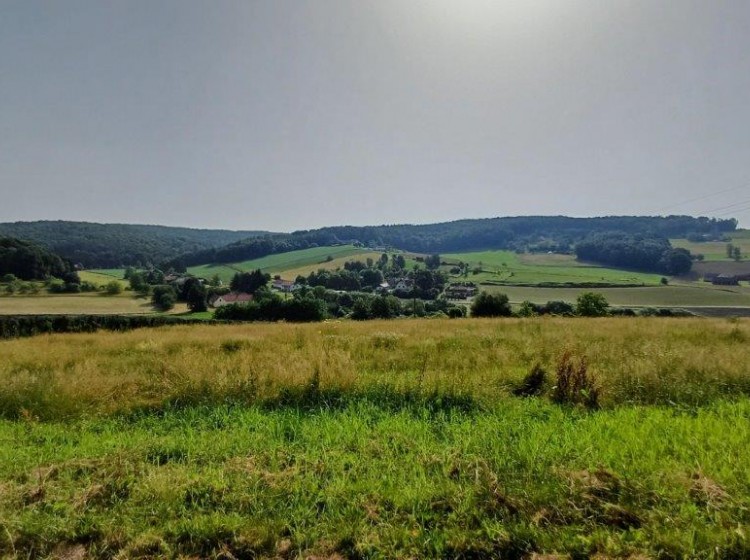 Objektbild: Eins sein mit der Natur - ca. 14.438 m² schönste Aussichts- und Ruhelage mit großem Baulandanteil!