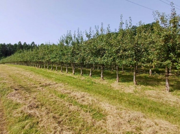 Objektbild: Eins sein mit der Natur - ca. 14.438 m² schönste Aussichts- und Ruhelage mit großem Baulandanteil!